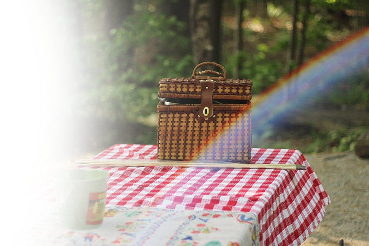 How to Protect Yourself from Mosquitoes During a Picnic
