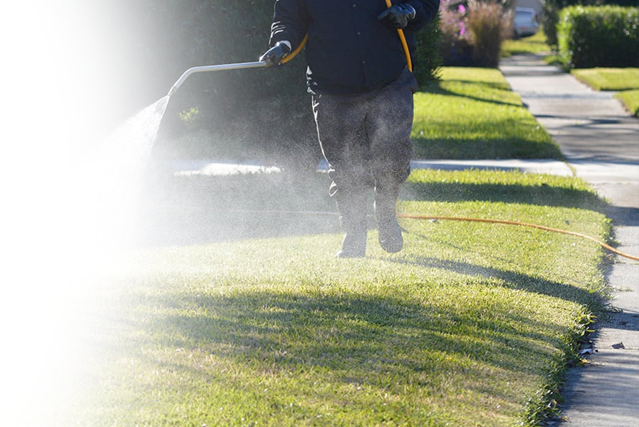 Tips for Hiring a Professional Mosquito Control Service