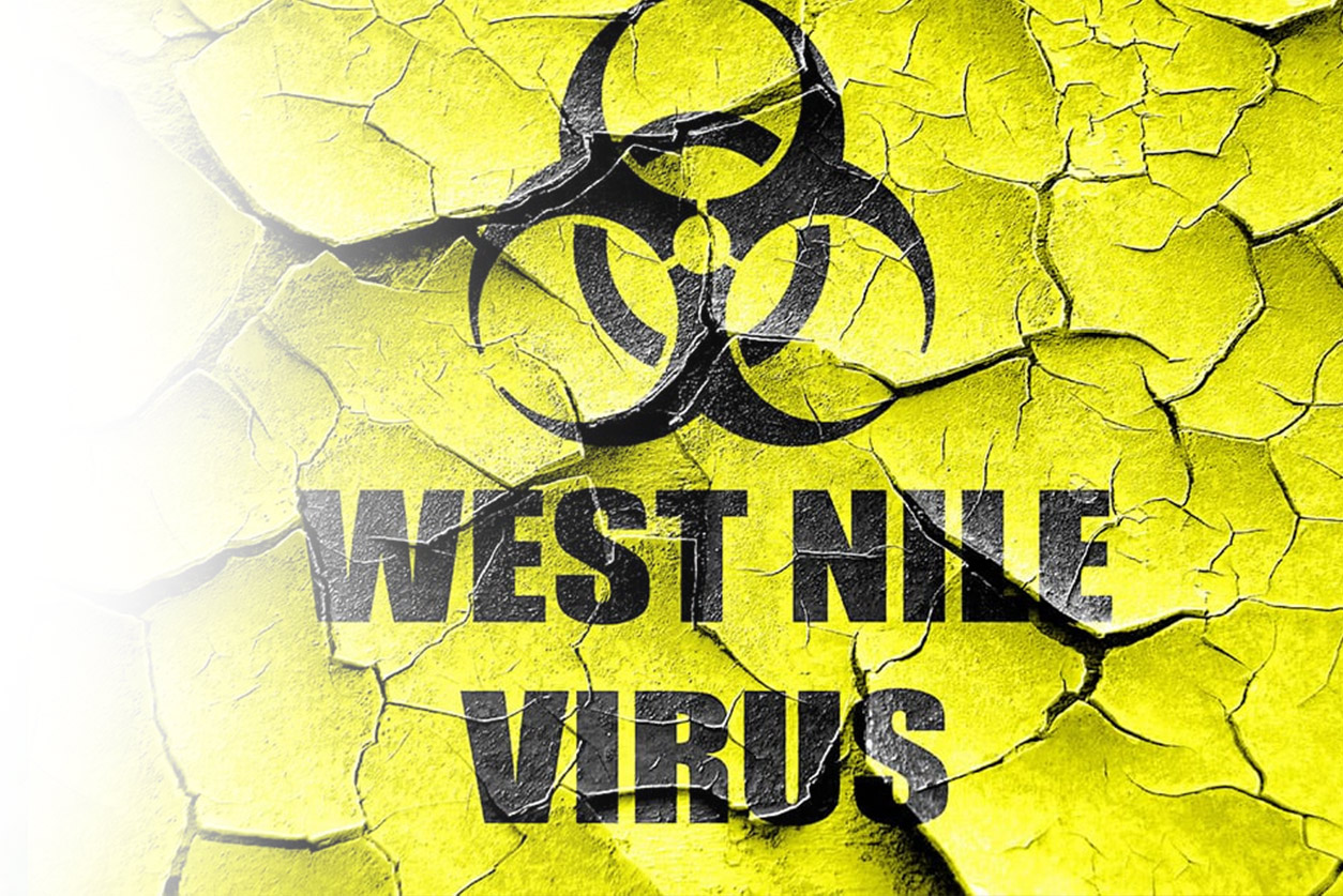 West Nile Virus and Mosquitoes